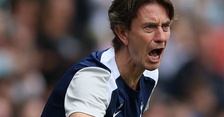 Frank: Three minor injuries in Spurs squad, none serious Frank: Three minor injuries in Spurs squad, none serious
